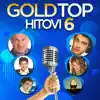 Various Artists - Gold Top Hitovi 6